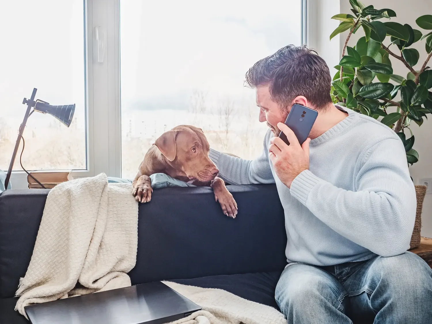 Man on phone with dog on couch by window.
