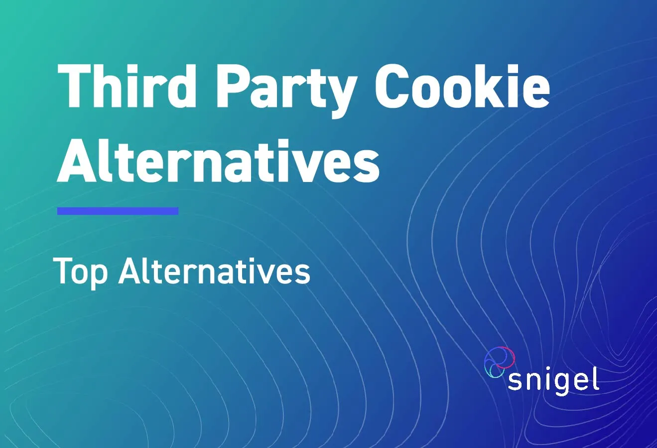 10 Best Alternatives To Third Party Cookies (2023) Definitive Guide