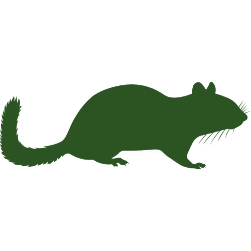 Chipmunk Icon