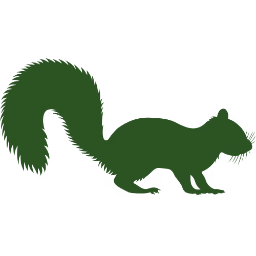Squirrel Icon