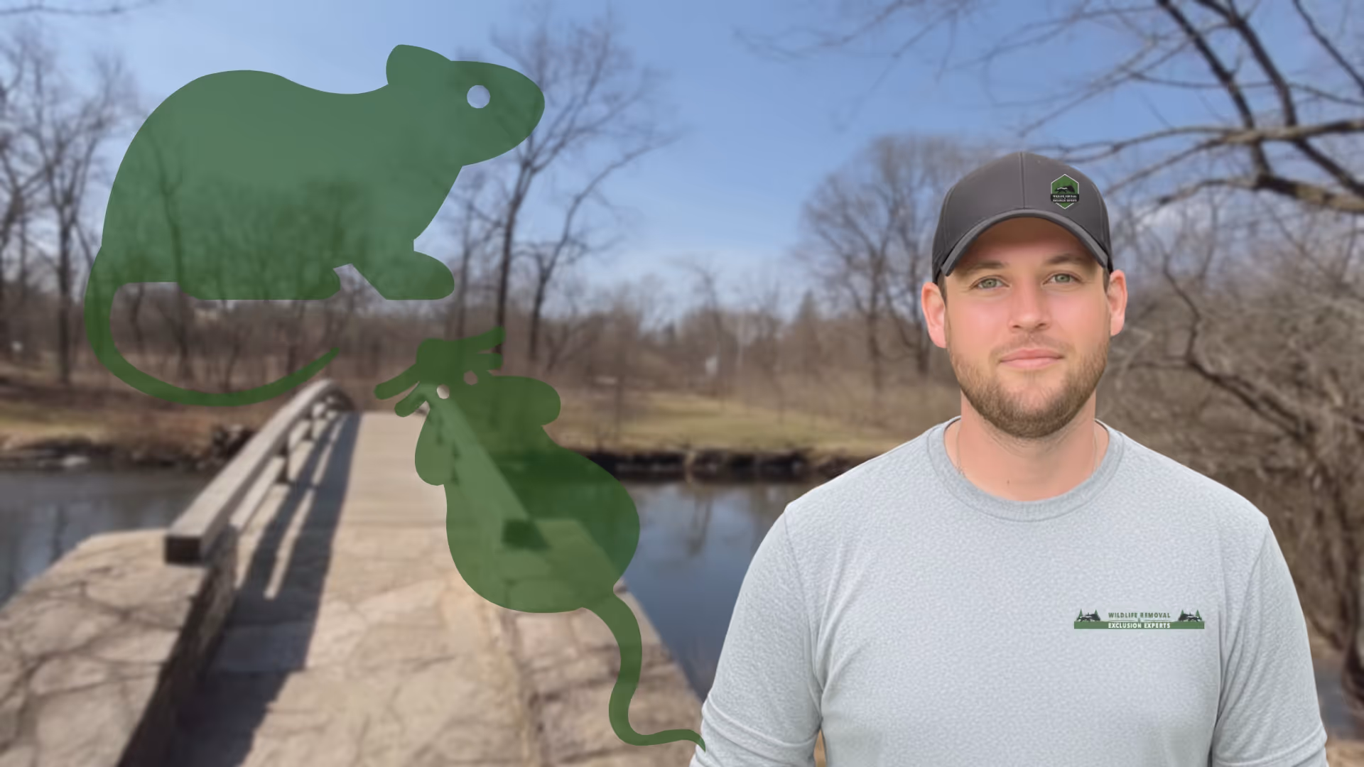 Rodent Removal and Trapping Naperville IL