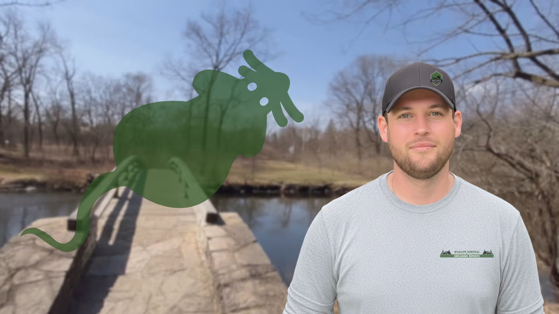 Mice Removal and Trapping Naperville IL
