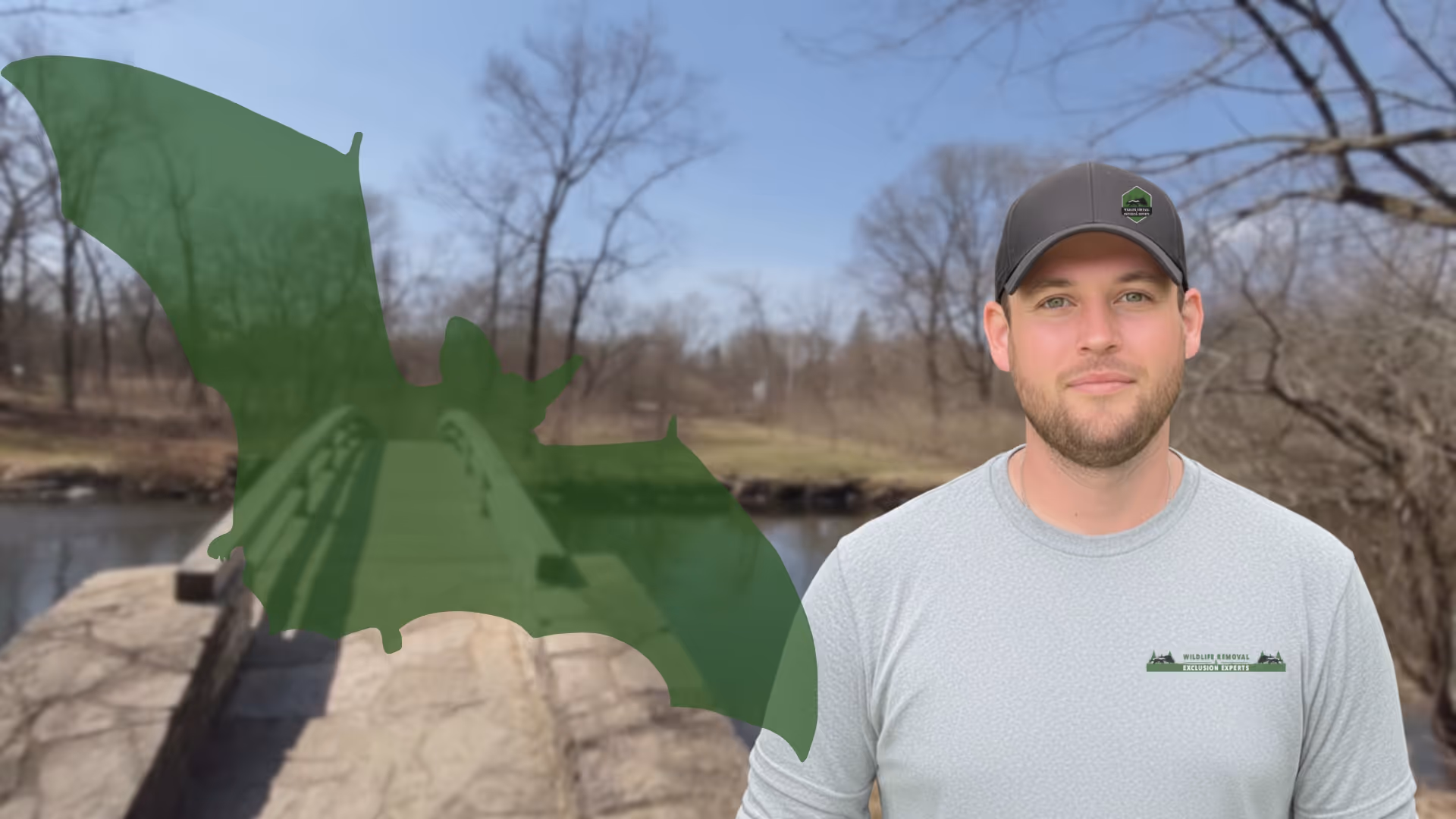 Bat Removal and Trapping Naperville IL