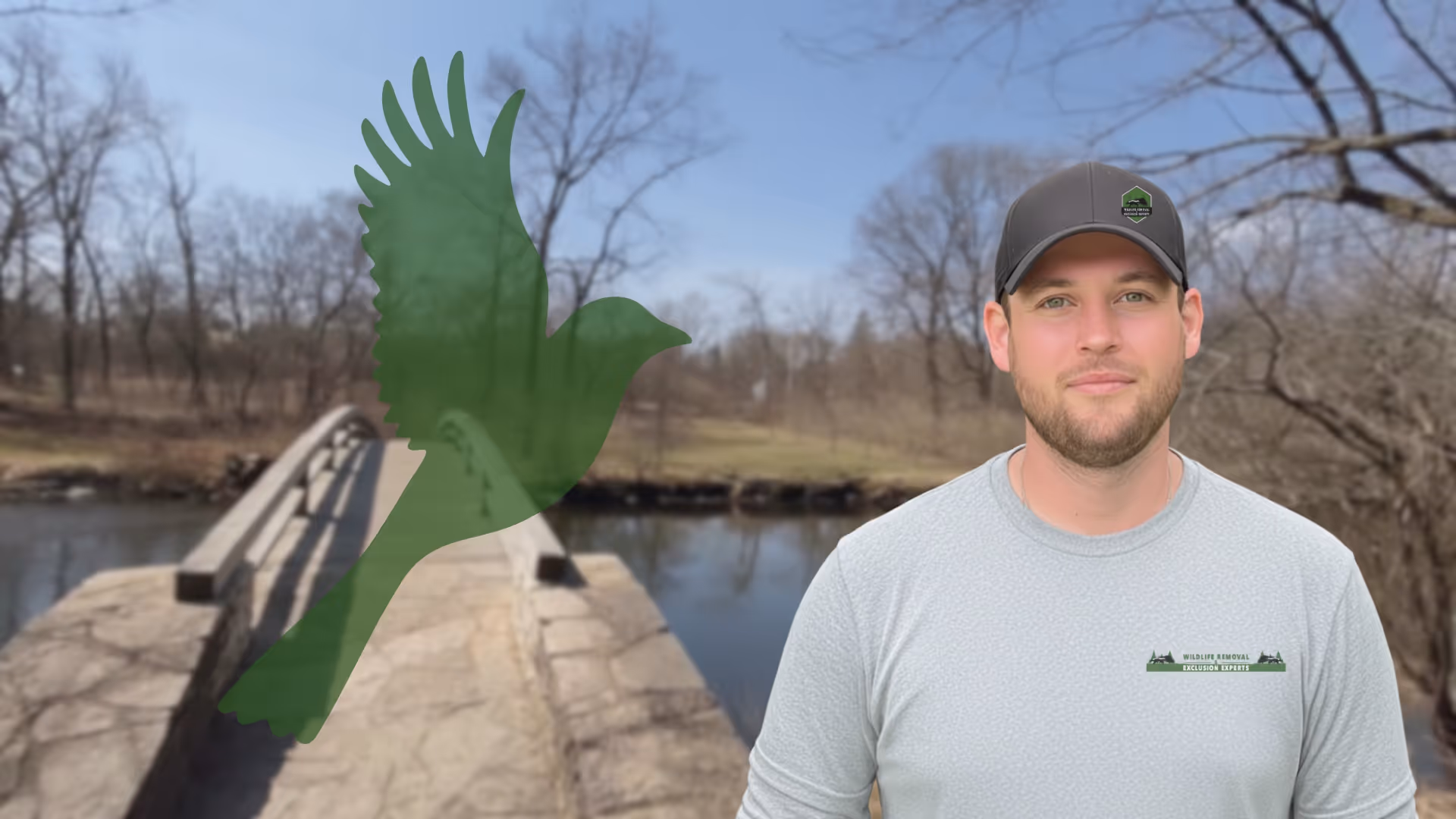 Bird Removal and Trapping Naperville IL