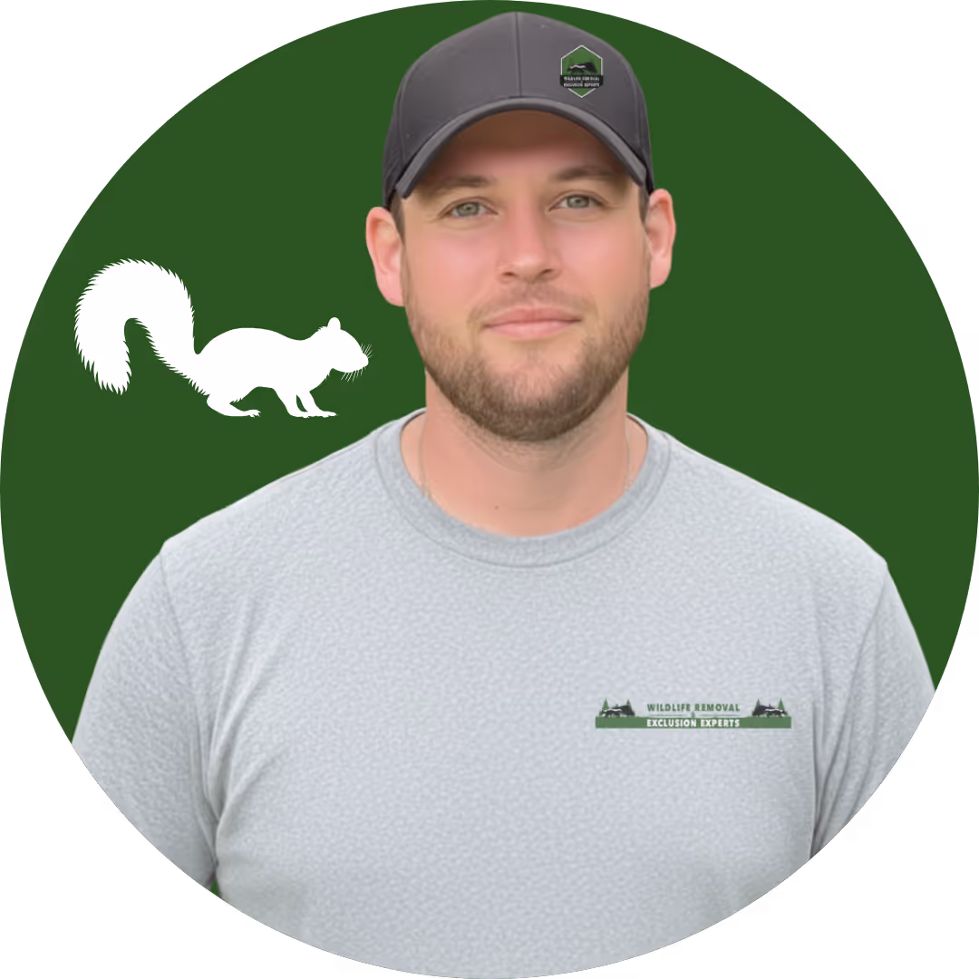 Squirrel Removal and Trapping Tech