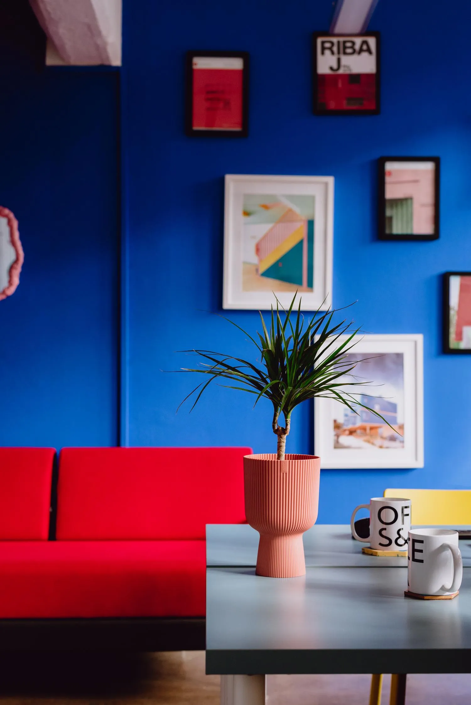 Zoomed in photo showing the blue tones of the space, with contrasting red sofa in the background and plant with an intricate plant pot in the foreground. By Office S&M, RIBA Chartered Architectural Practice in London.