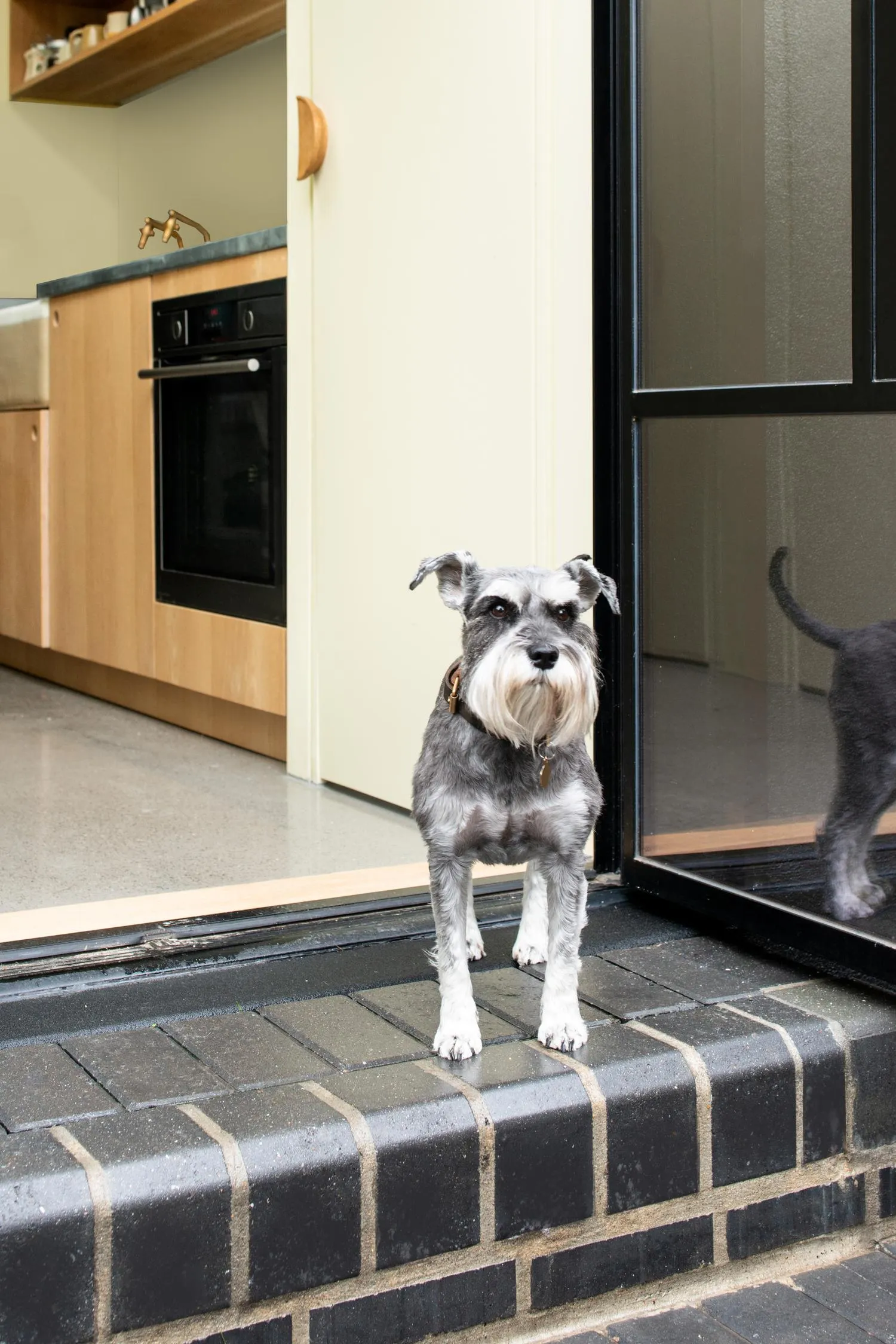 Photo of the tiled kitchen entrance onto the garden, with owner's dog at the threshold. By Office S&M, RIBA Chartered Architectural Practice in London.