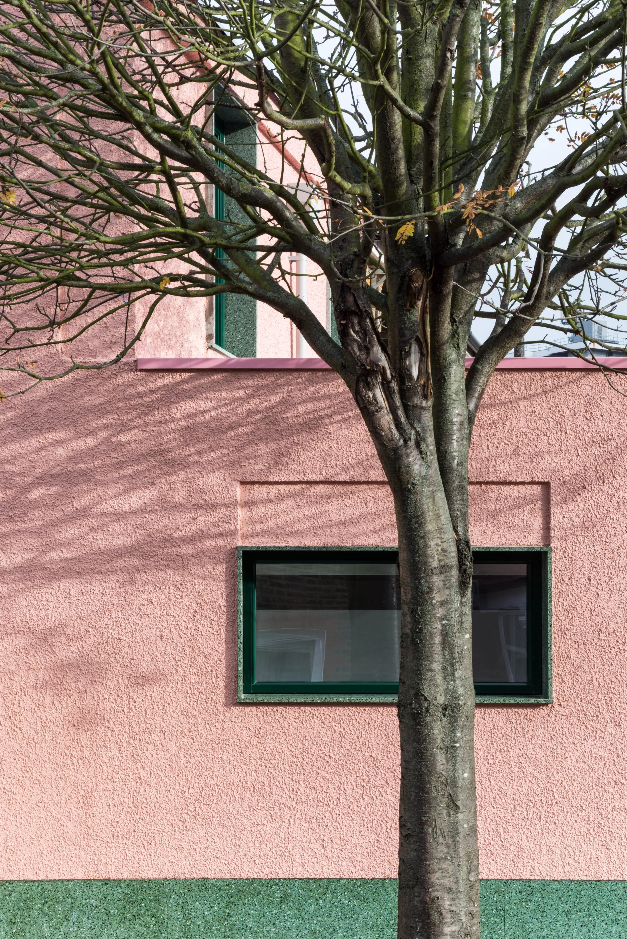 Photo of the western elevation's window with a tree at the front. By Office S&M, RIBA Chartered Architectural Practice in London.
