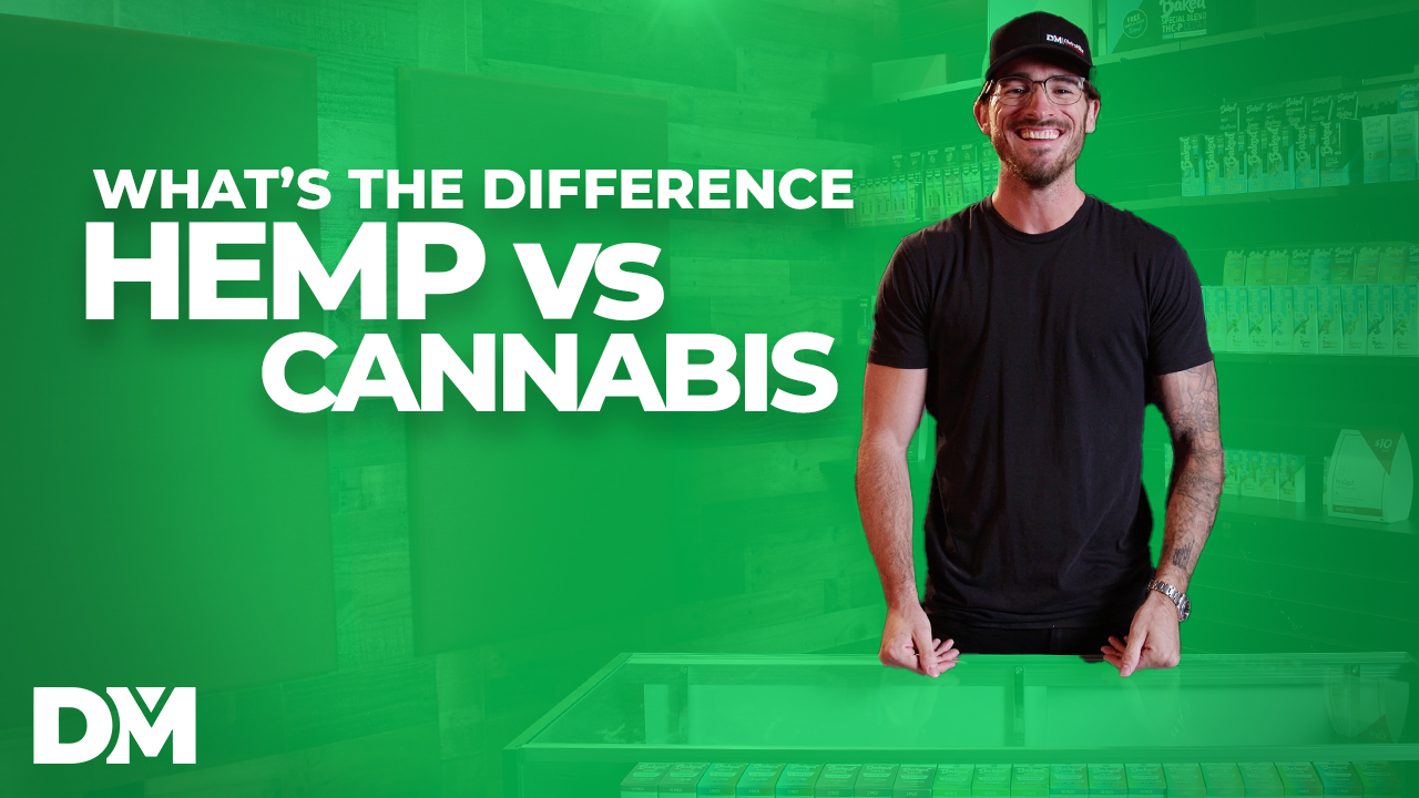 What is the Difference Between Hemp and Cannabis?