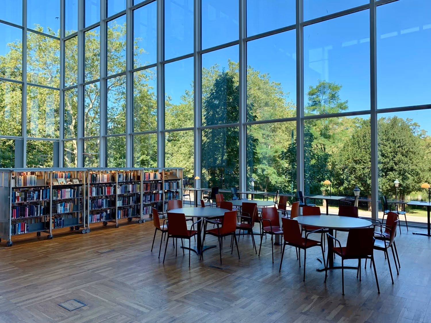 Study area