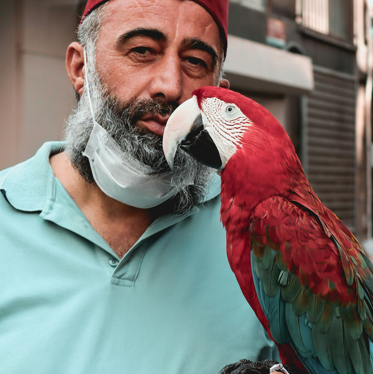 photo of a man holding a red parrot