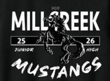 Mill Creek Mustangs Cheer Raises Travel Funds for Nationals