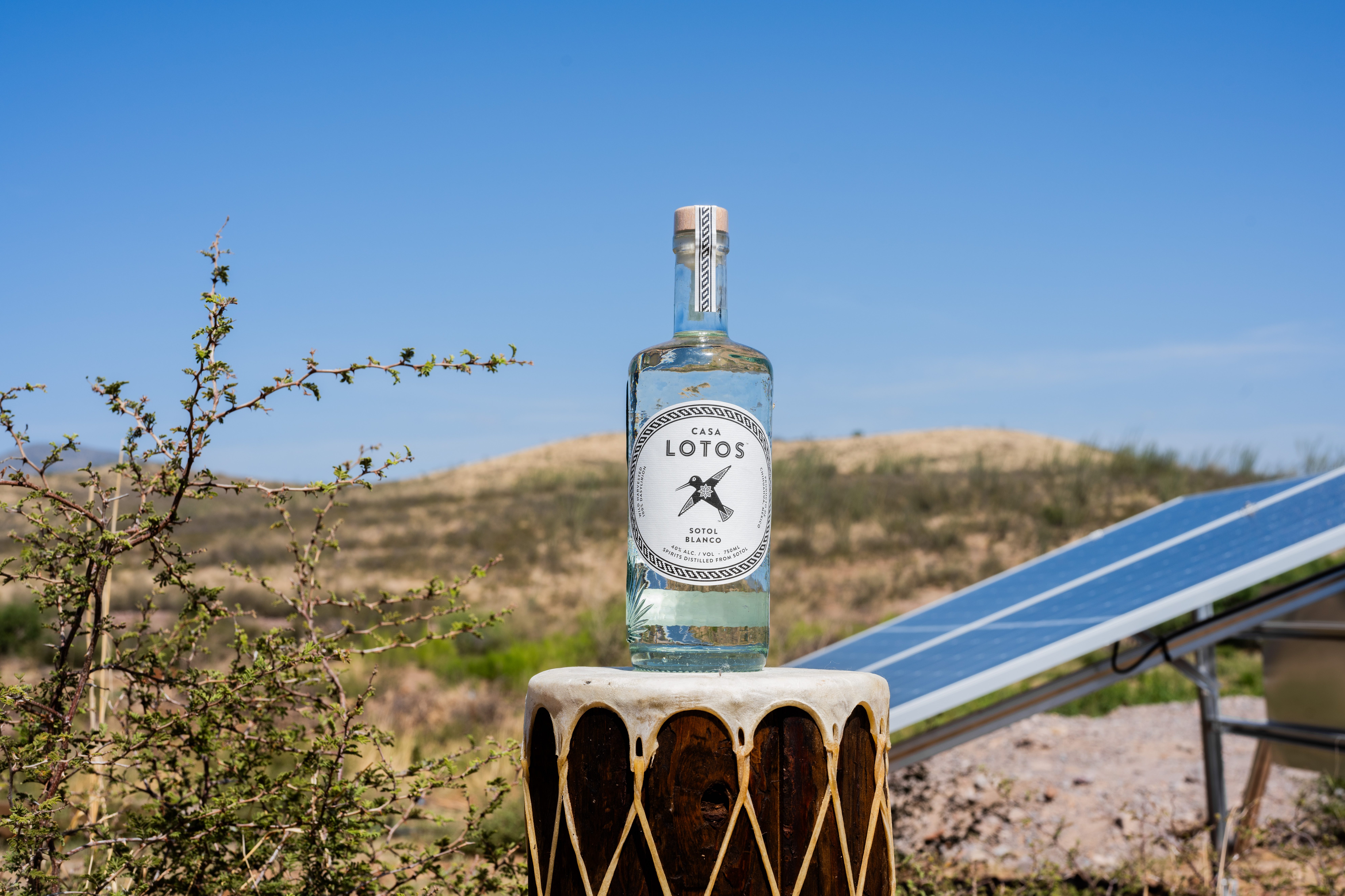 The Desert’s Alchemist: Gerardo Ruelas and the Spirit of Casa Lotos Sotol