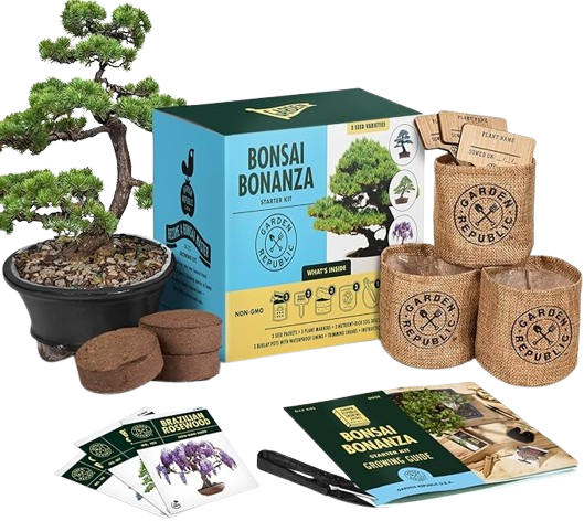 bonsai plant kit