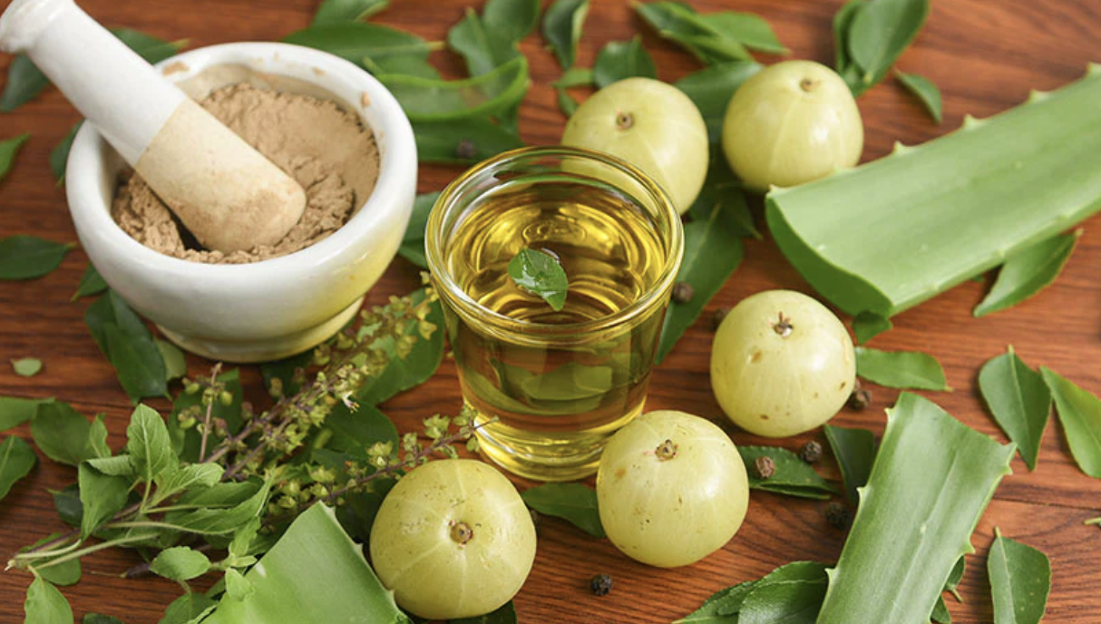 What Is Amla Oil? Why This Ancient Ayurvedic Ingredient Has Endured for Generations