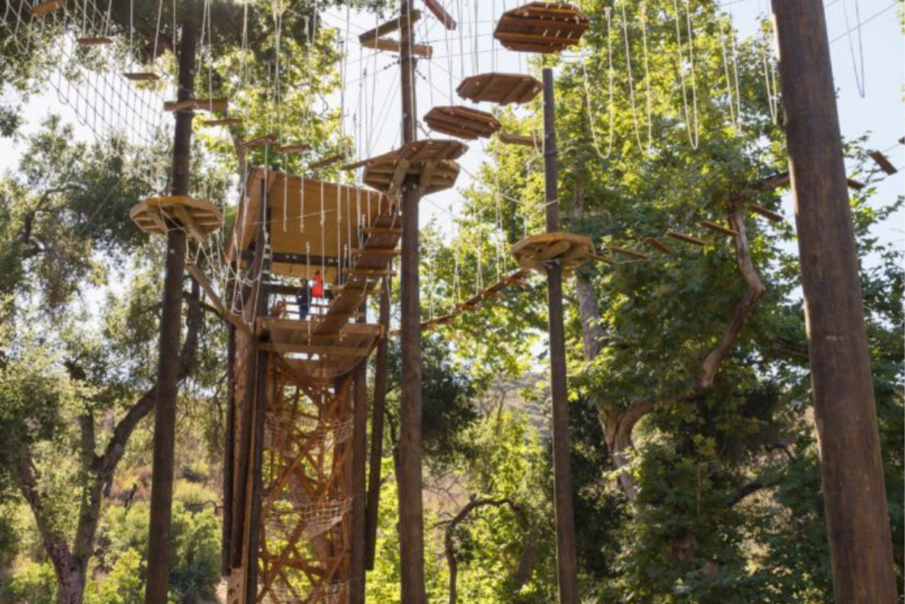 Elevated adventure resort with luxury treetop course set among tall pines, offering high-elevation outdoor experiences where luxury meets the wild.