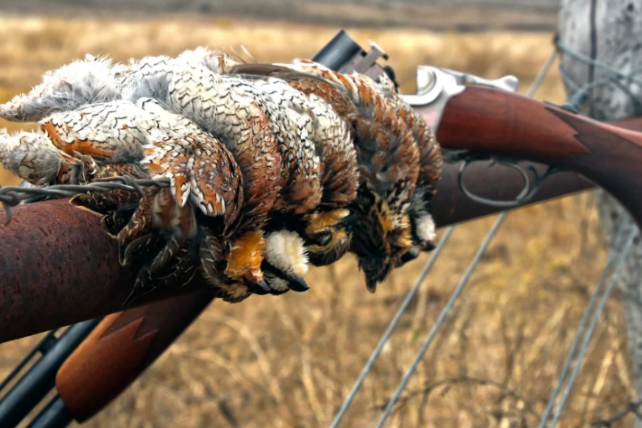 Legacy hunting club detail showing handcrafted leather and a traditional shotgun, symbolizing heritage, precision, and operational excellence.