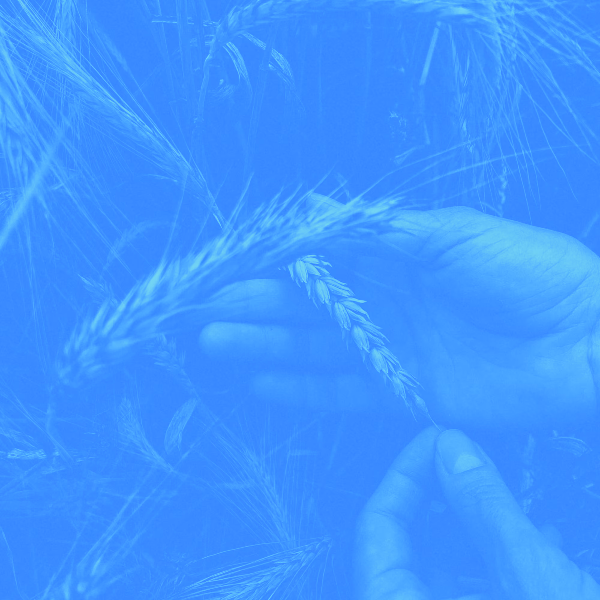 Inescapable Harvest