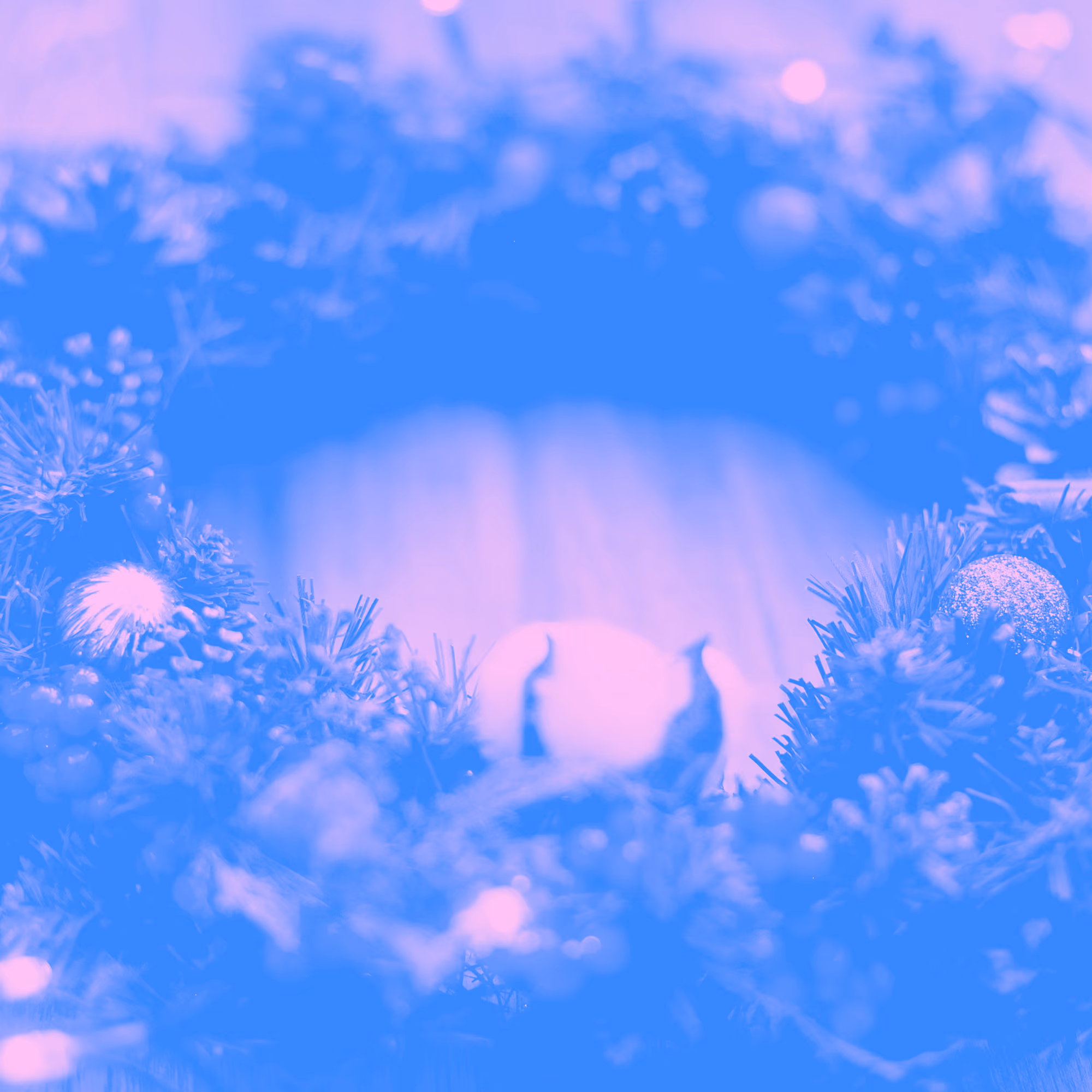 Advent: The Promise