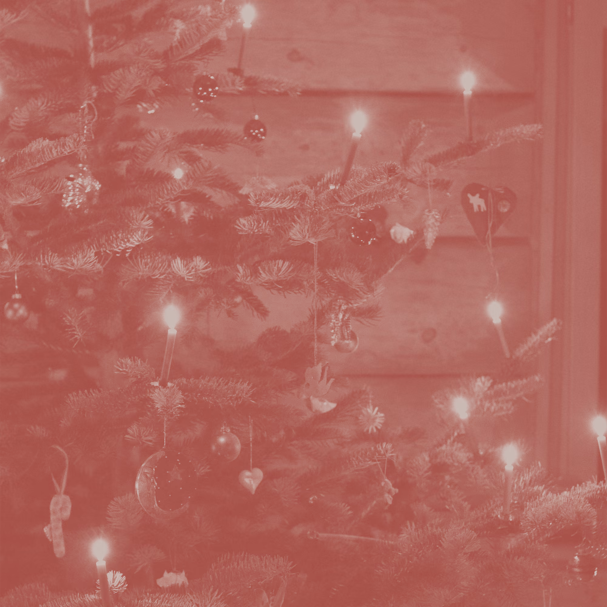 Advent: The Promise