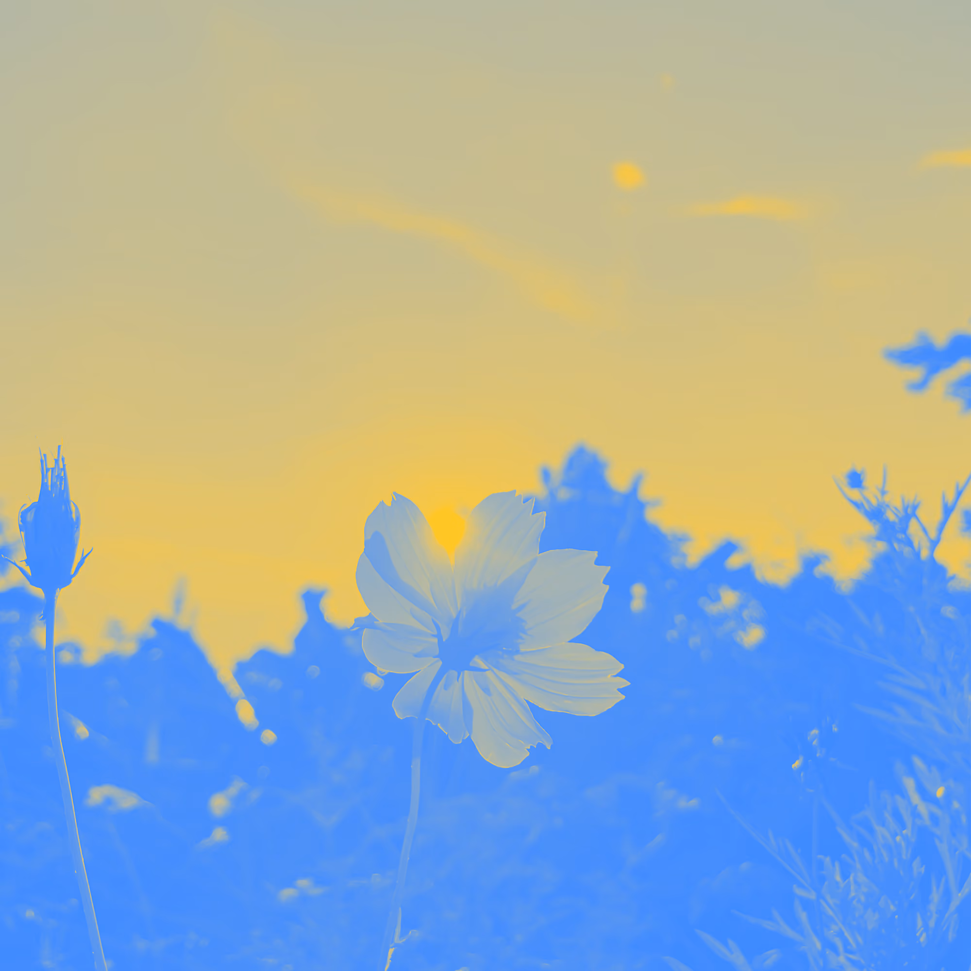 Fresh Starts