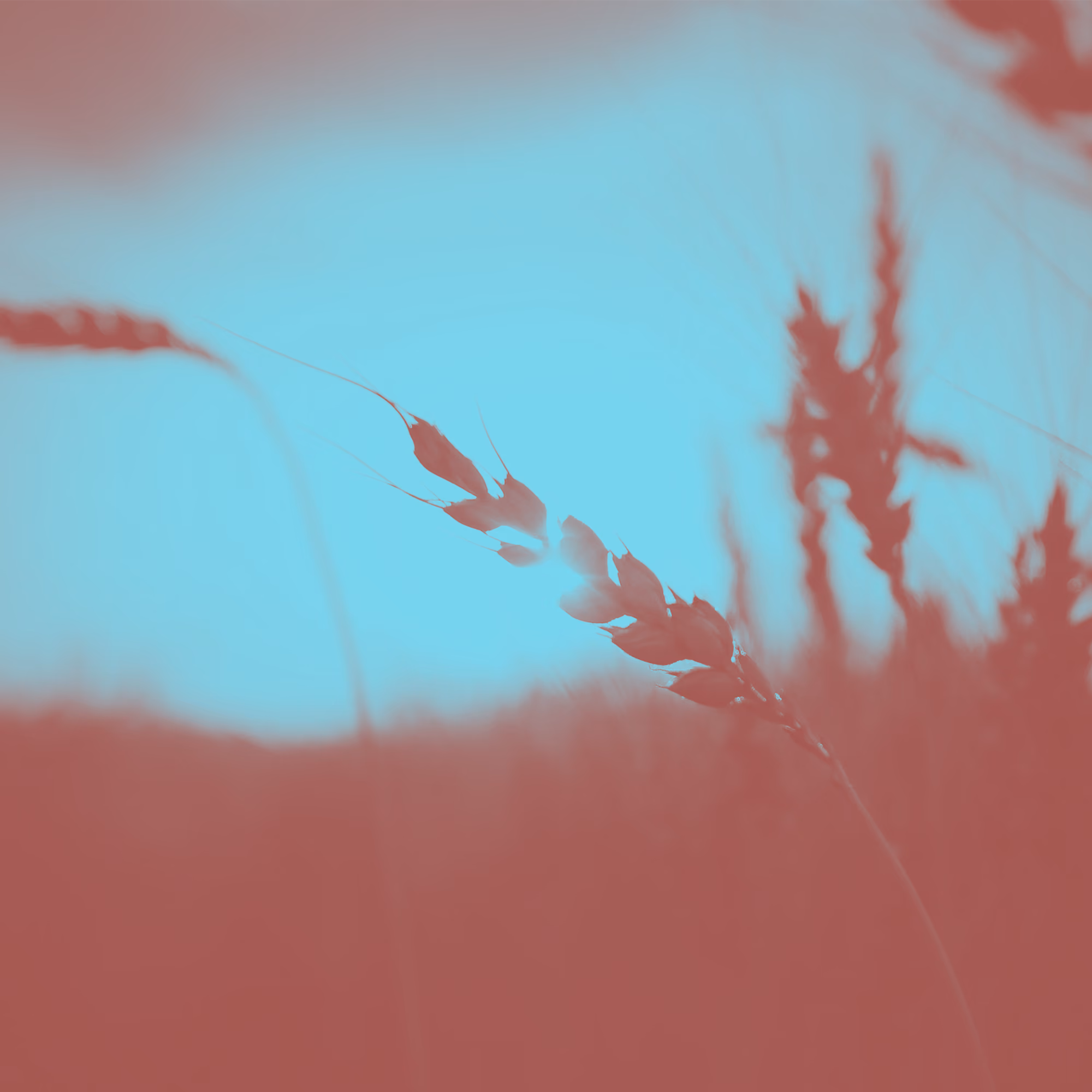 What Does Grace Actually Mean?