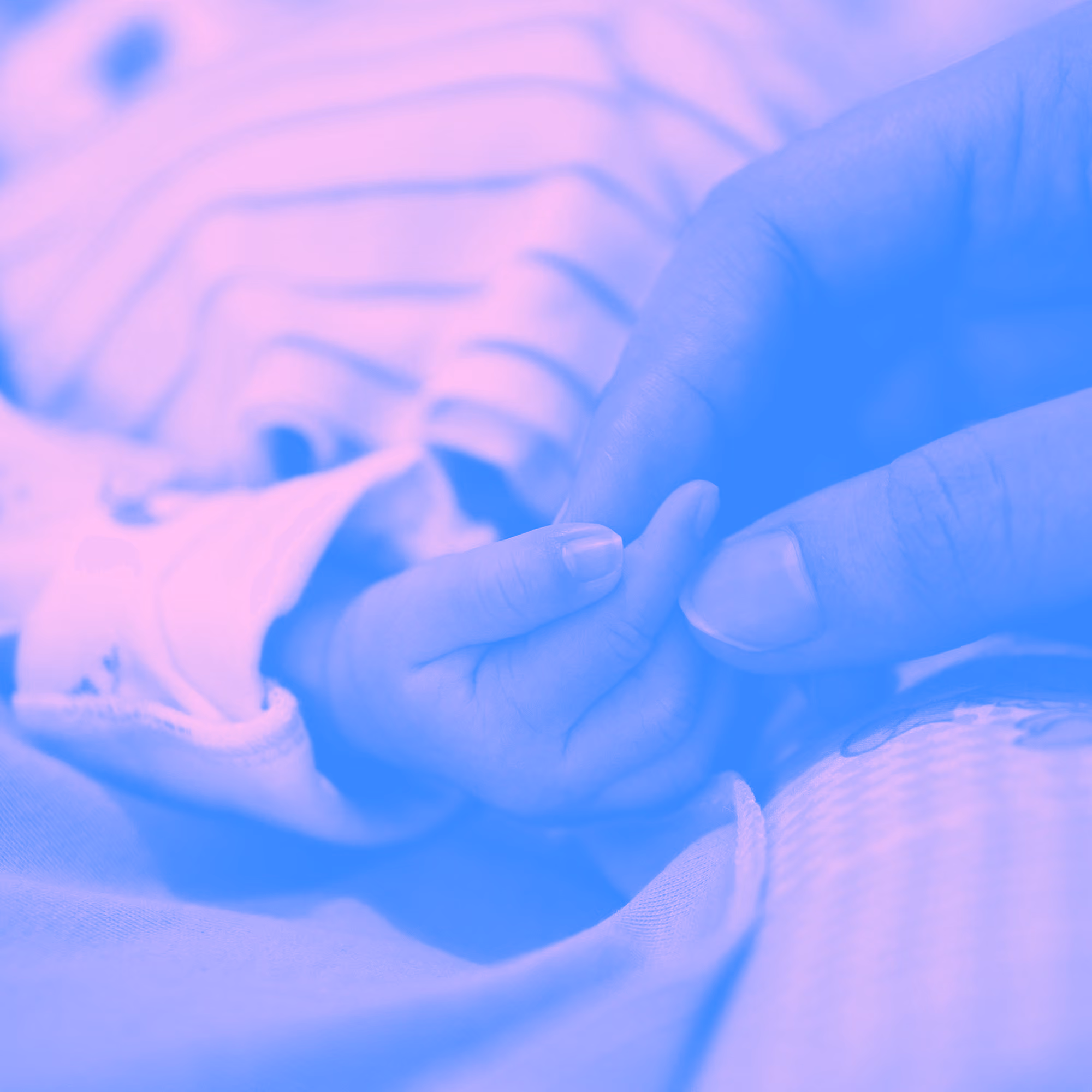 Your Born Identity