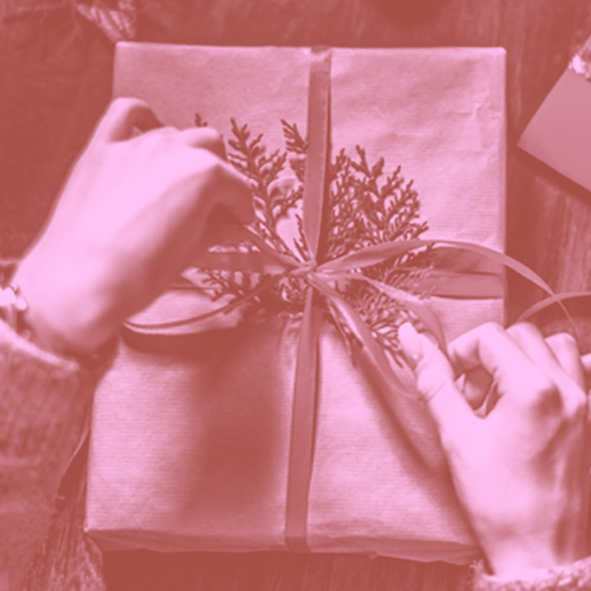 Hoping For A Christmas Gift