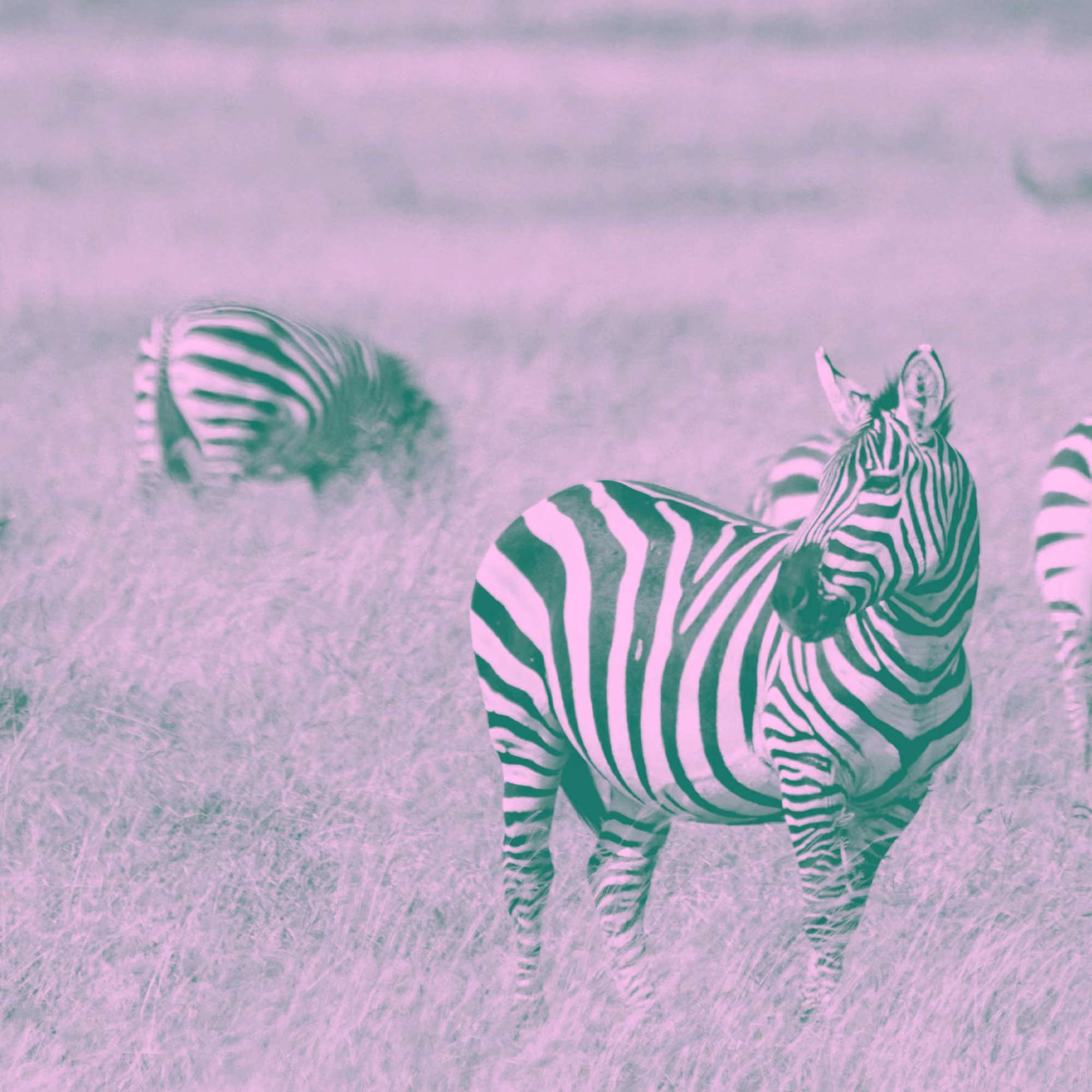 All Creatures Of Our God and King