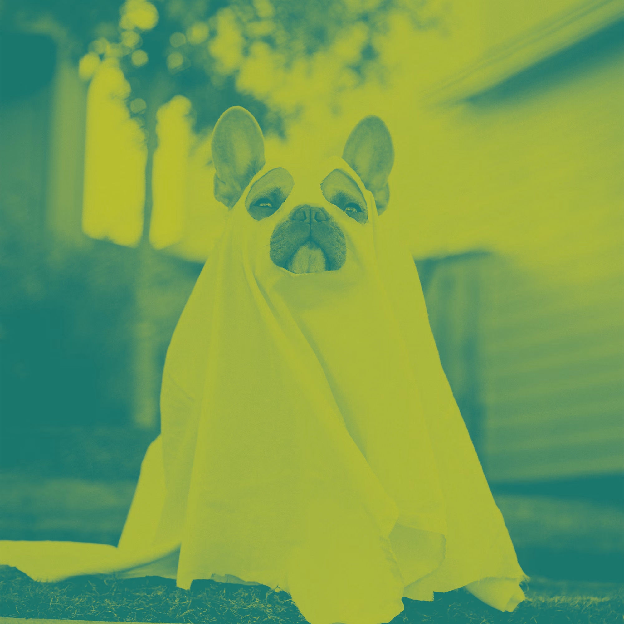 You?re Invited To A Costume Party