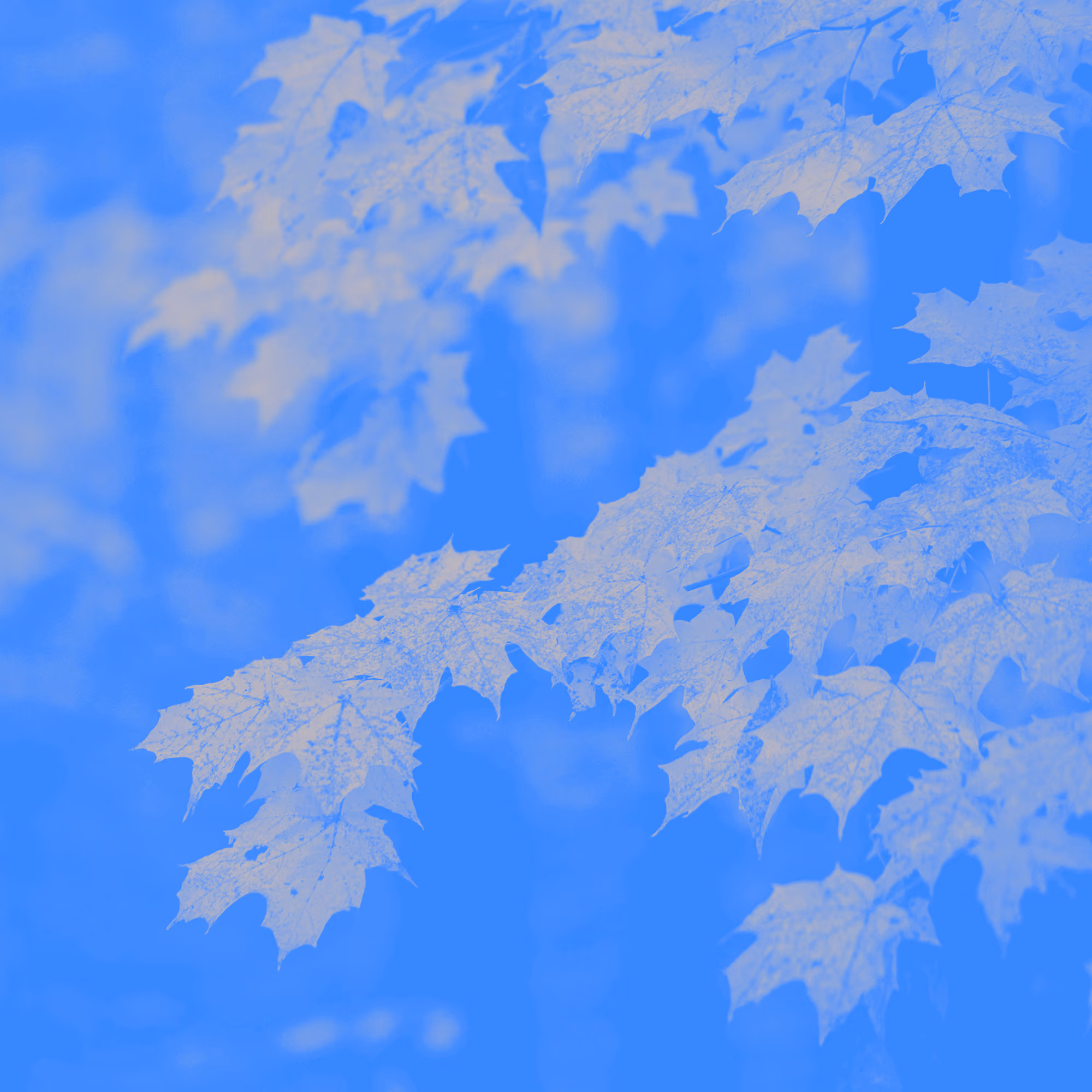 Give Thanks For Material Things
