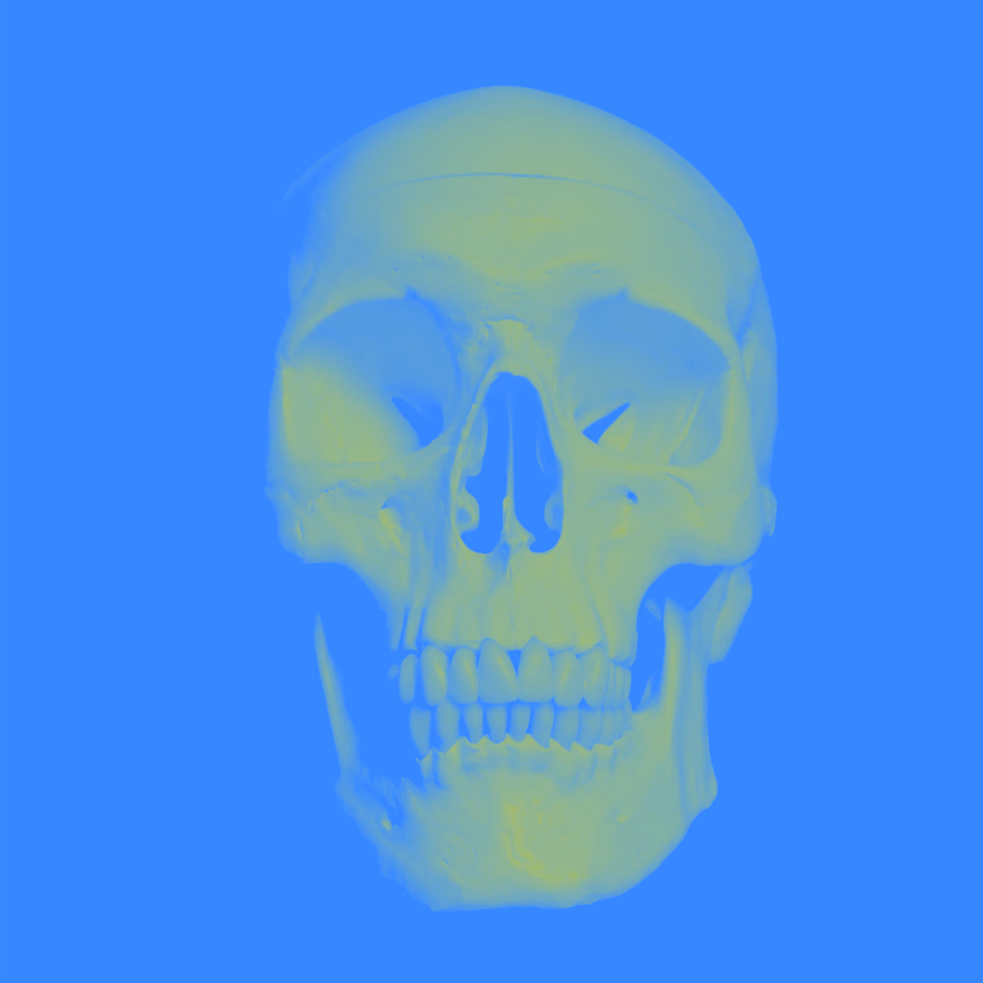 Look Death In The Face