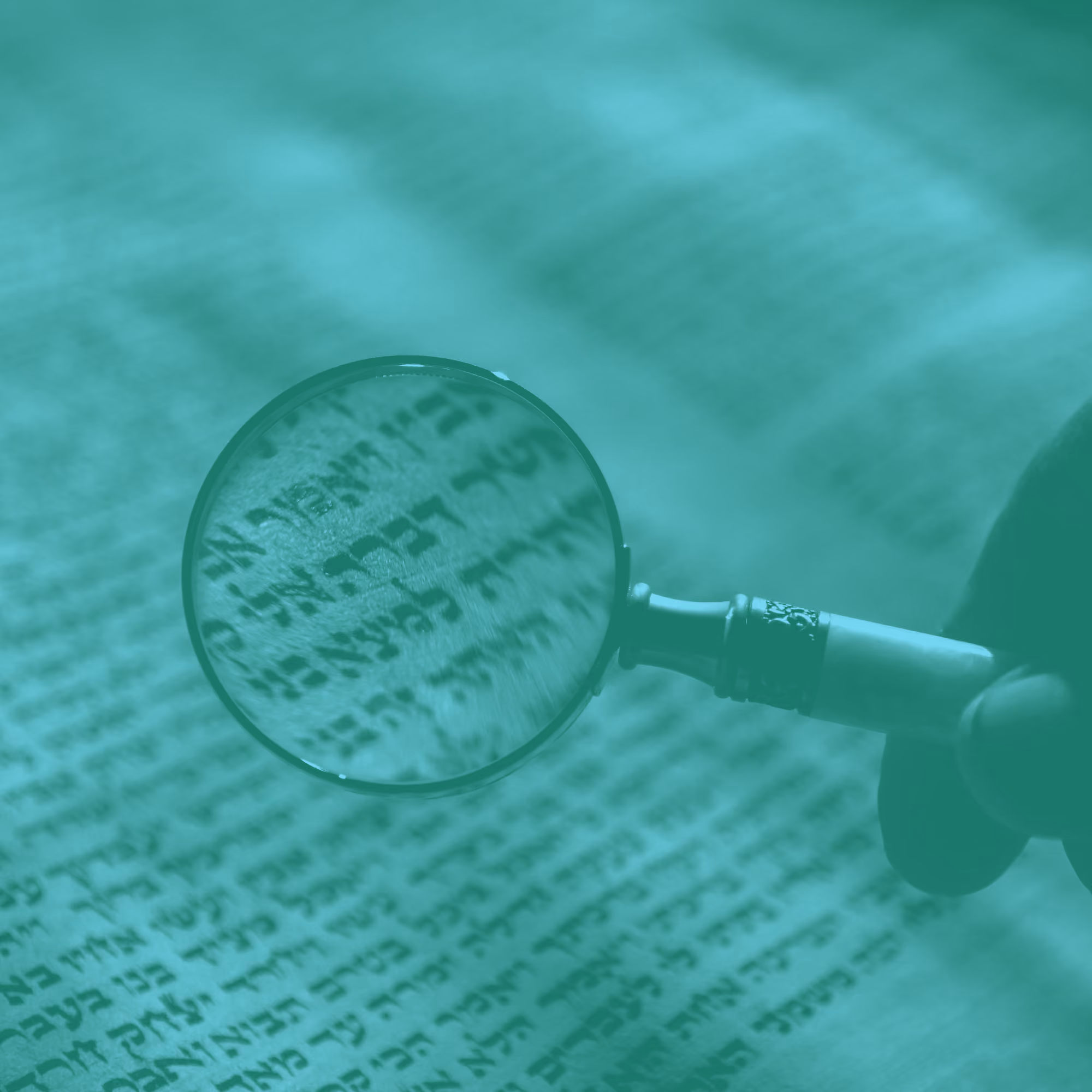 What You'll Find Inside Your Bible