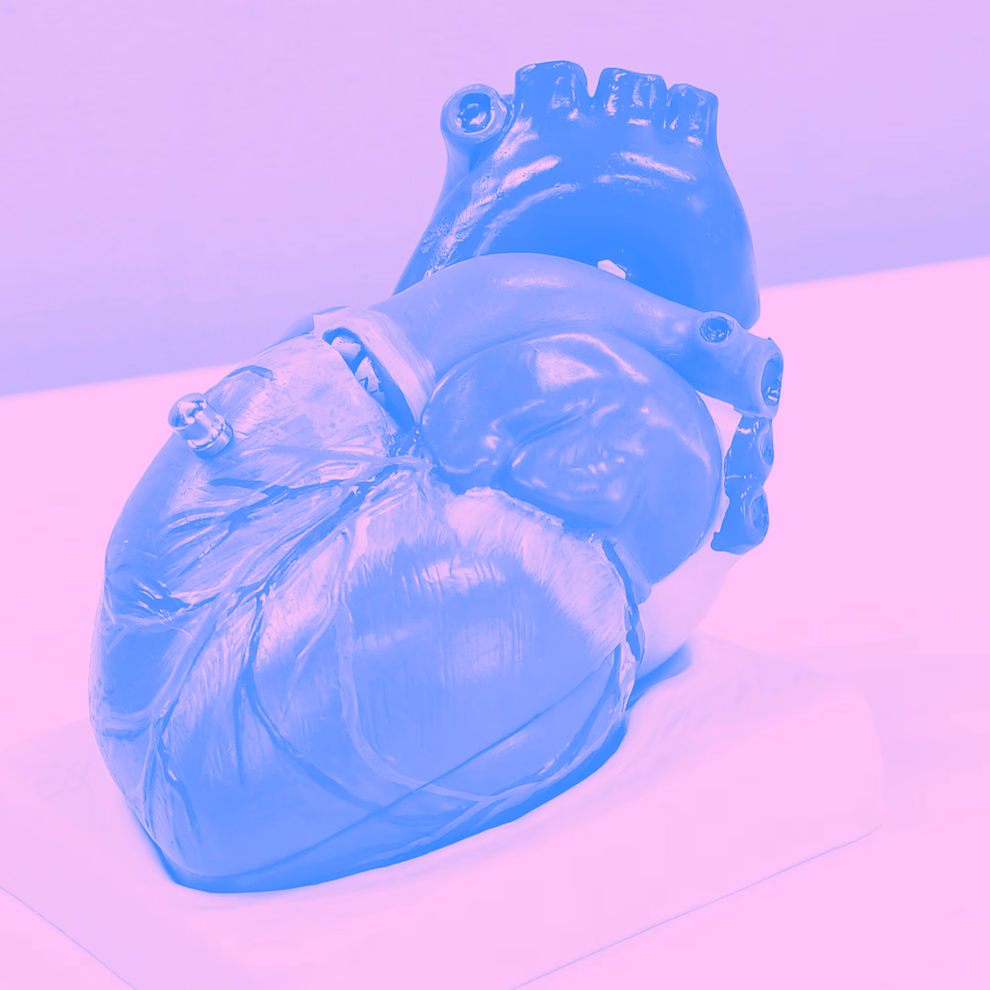 Landscape of the Heart