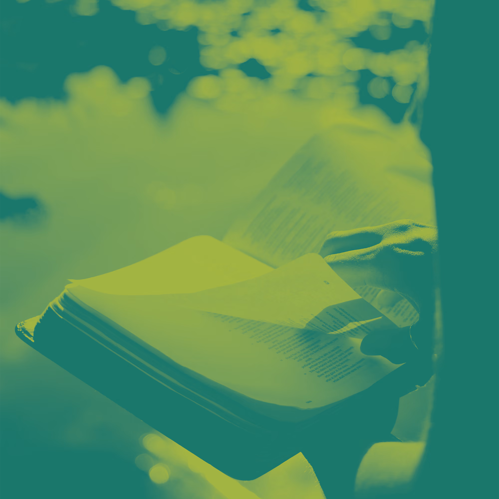 The Bible Teaches and Excites