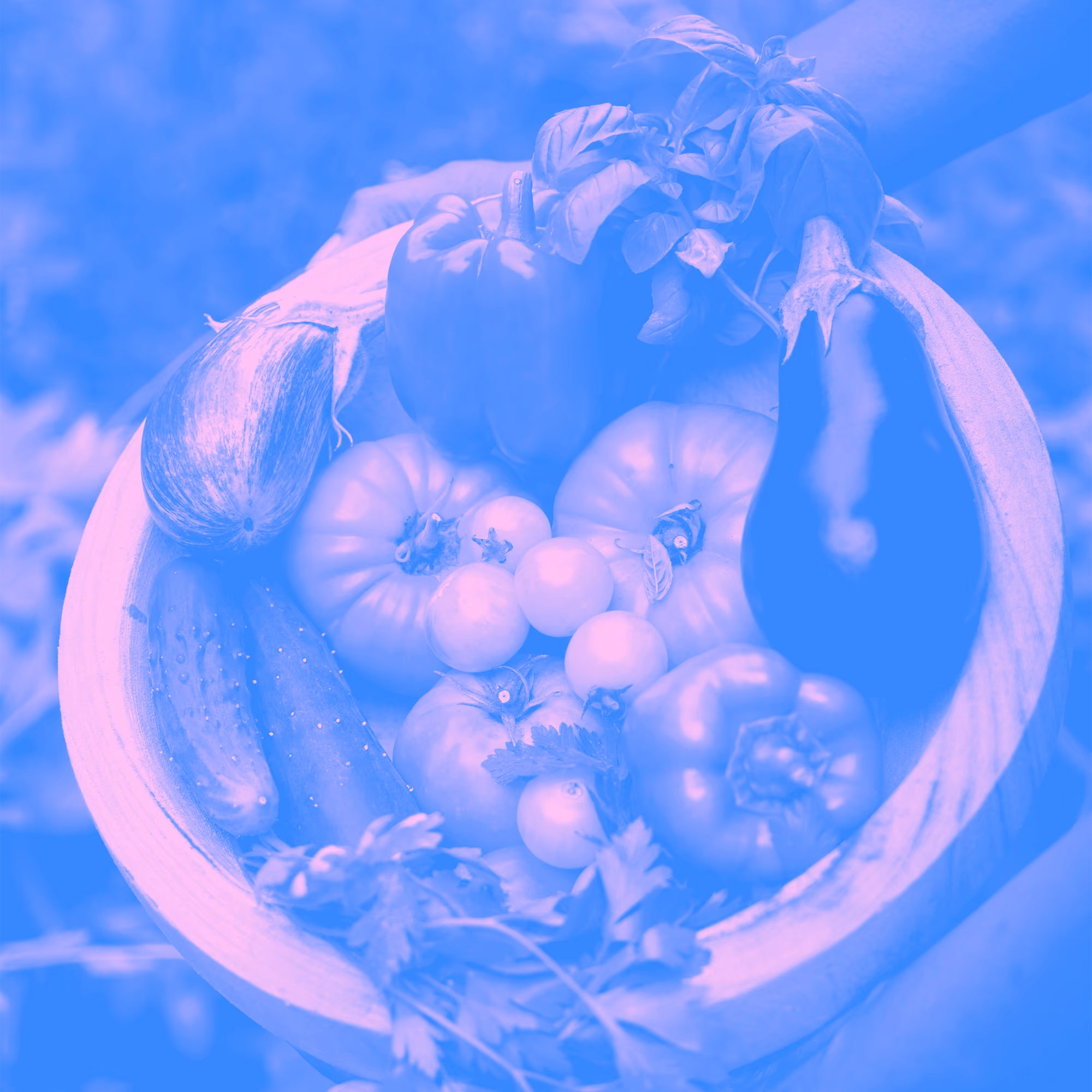 Reaping A Better Harvest