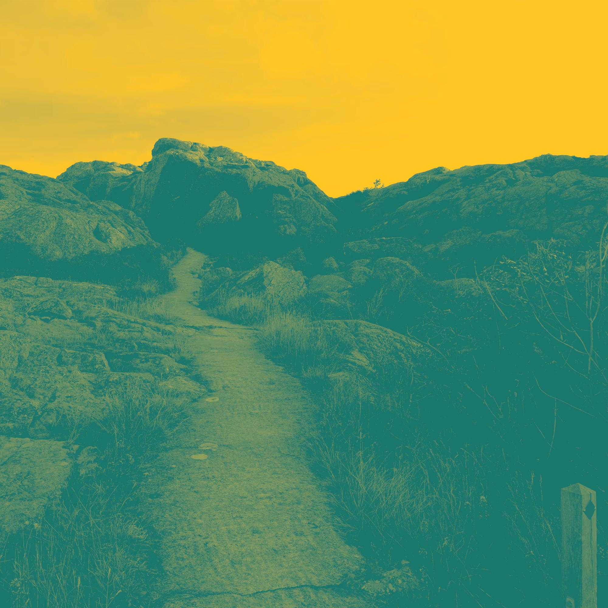 Pathway to Peace