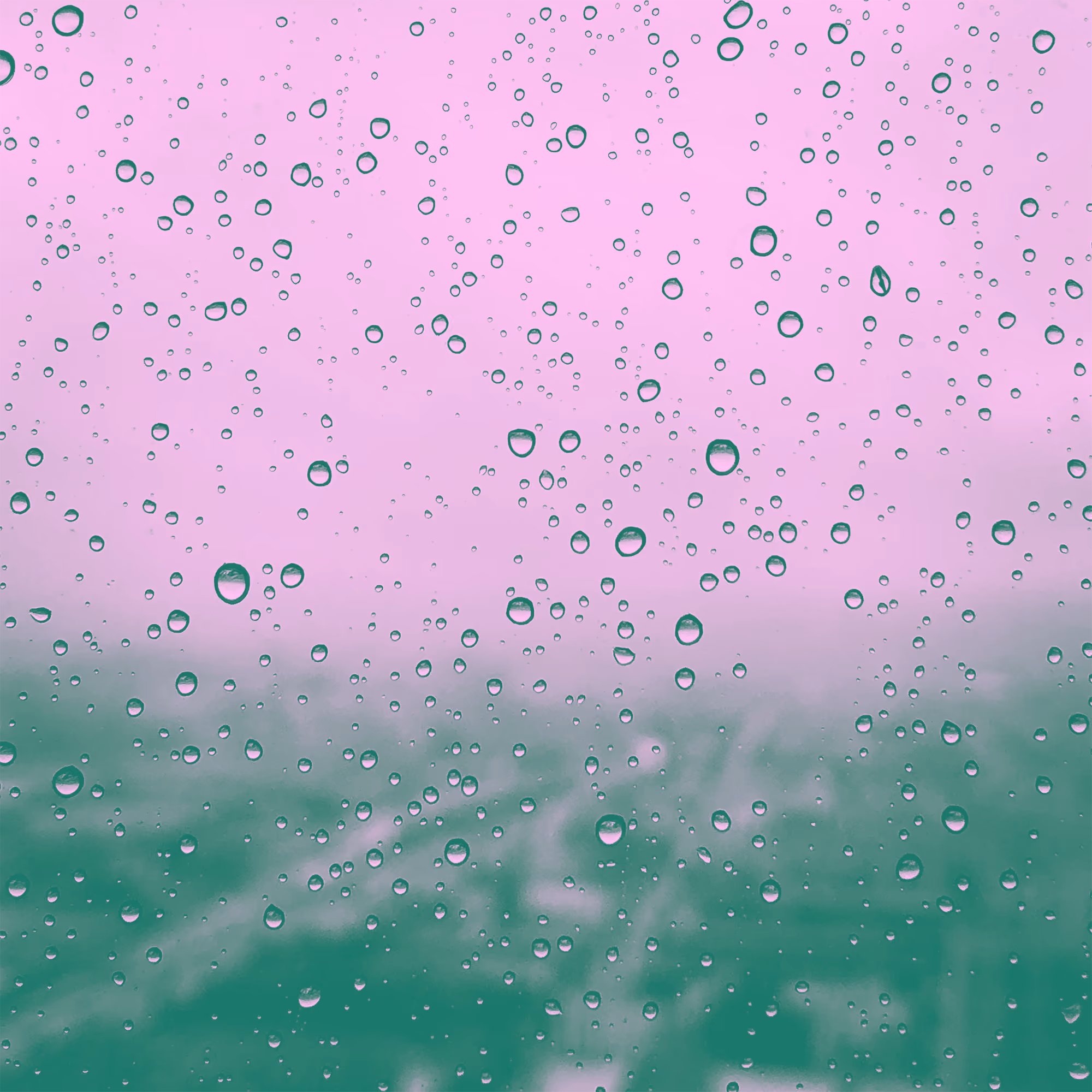 The Purpose of Rain