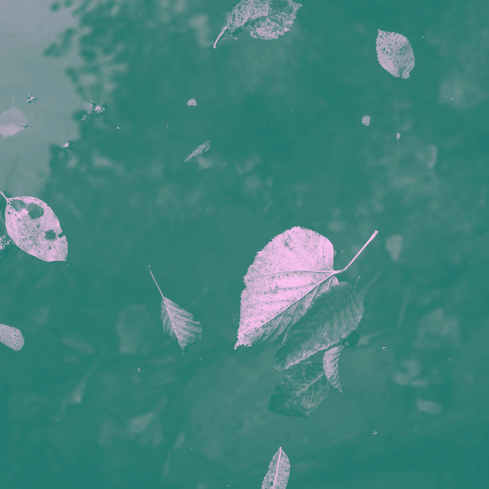 God's Sovereignty and Godly Communication