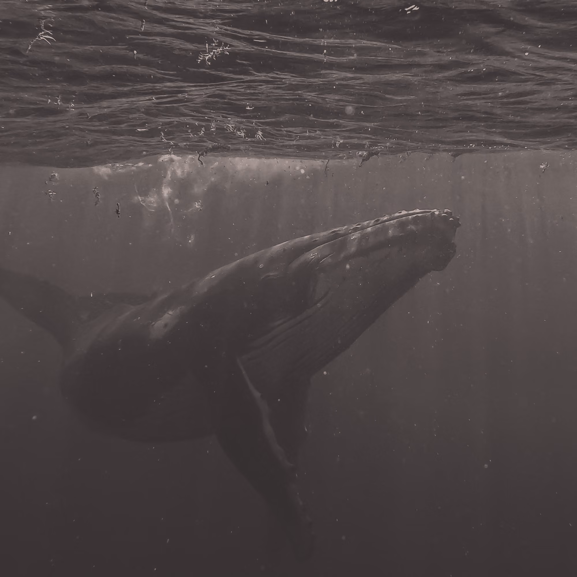 The Big Picture (Jonah 3:1-4:11)