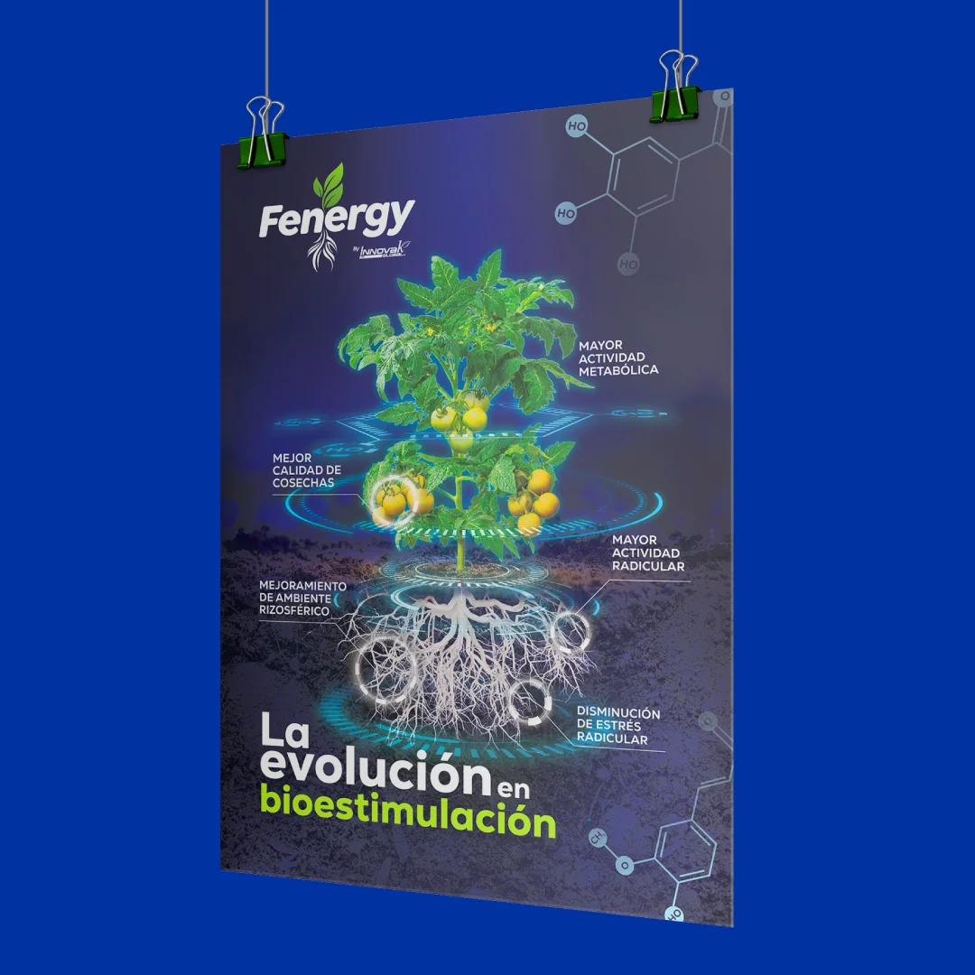 Fenergy imagen principal