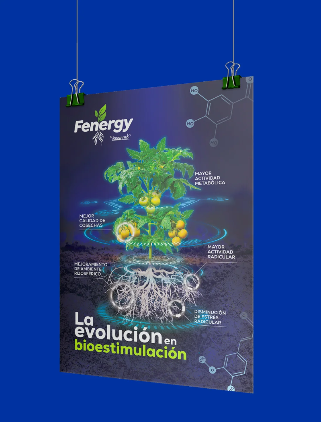 Fenergy popup