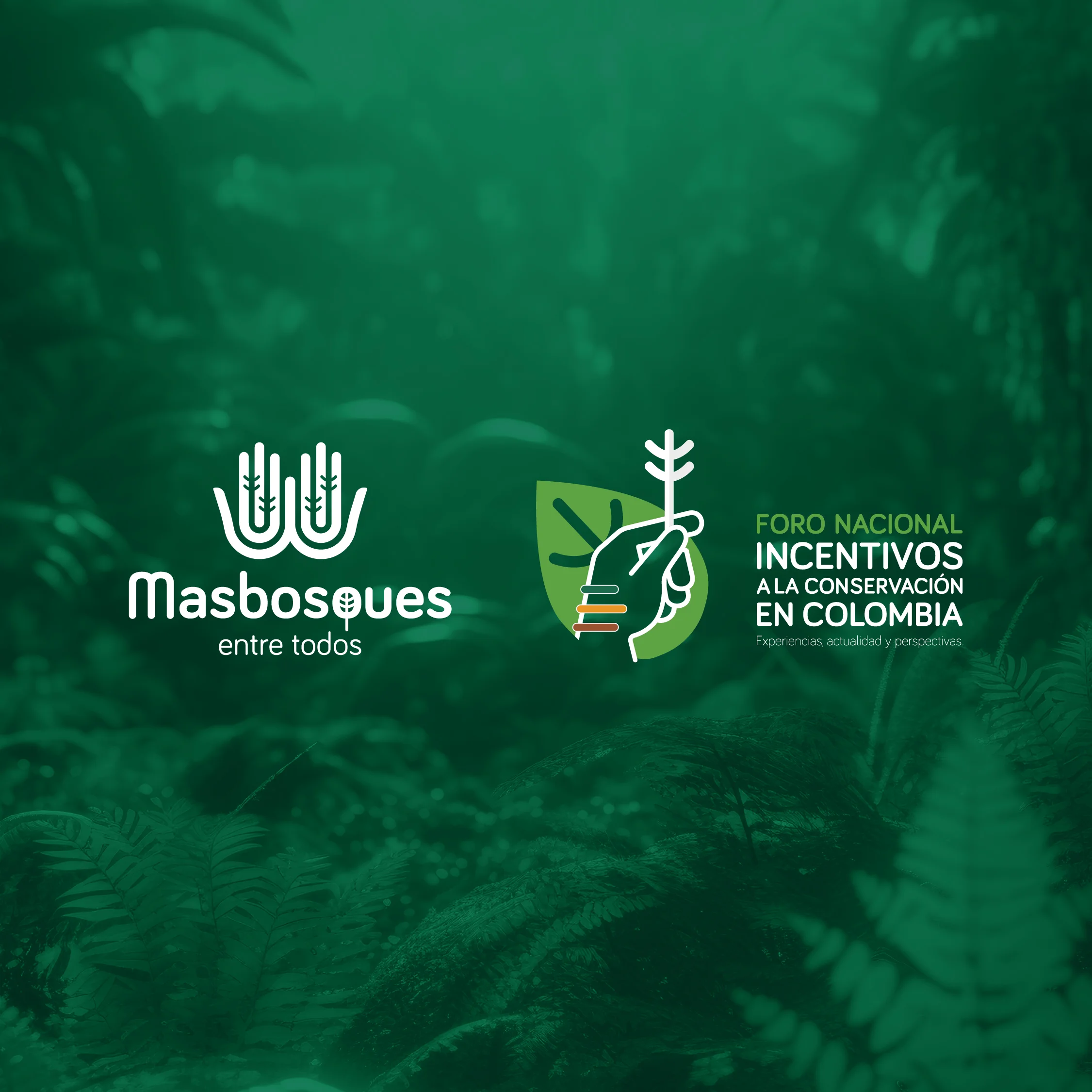 Masbosques image