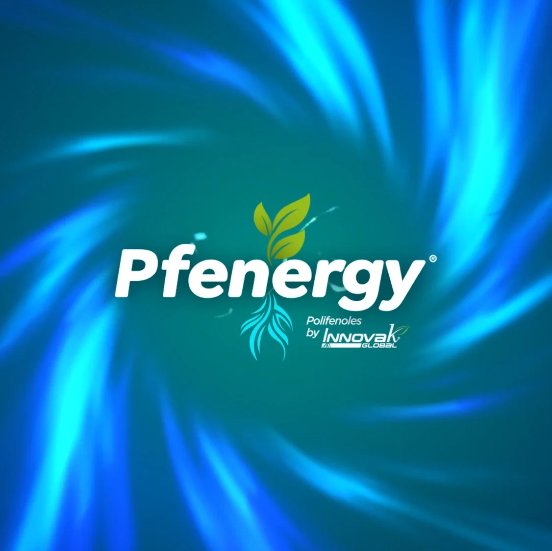 Pfenergy  img