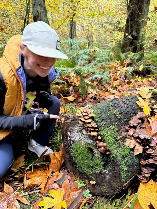 Holli Mushroom Foraging in the PNW