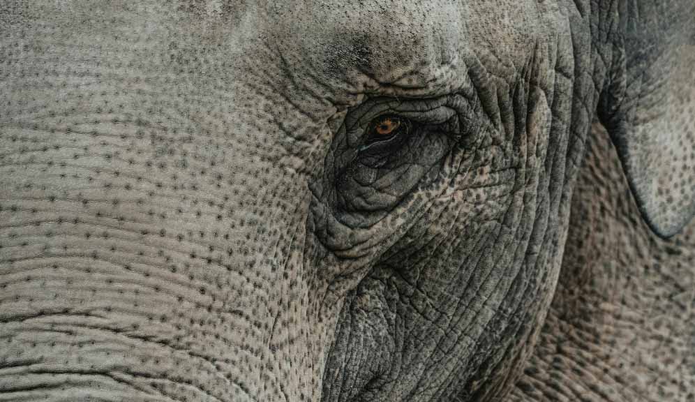 Real good: Made with the planet in mind