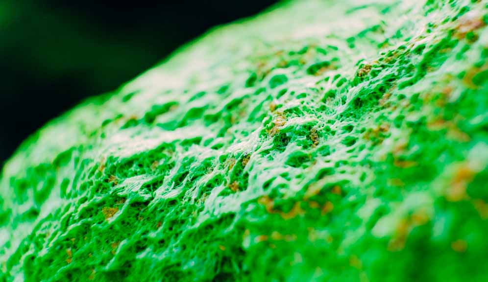 Say goodbye to "forever chemicals"