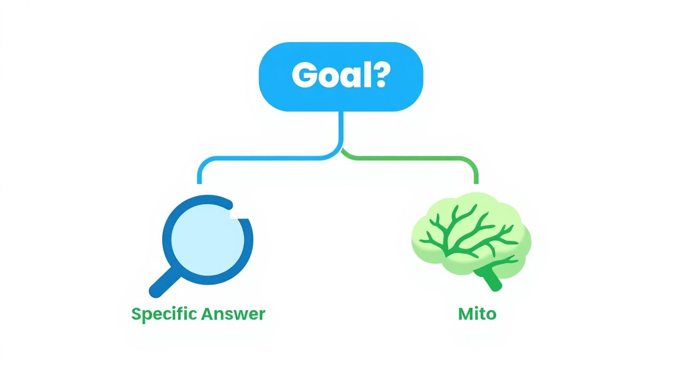 Infographic about everlywell vs mito health tests