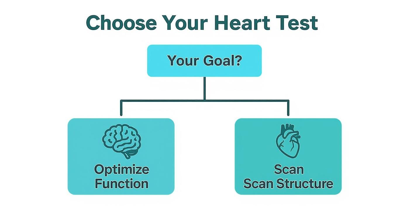 This decision tree helps users choose between Function Health for optimizing function and Prenuvo for scanning structure based on their primary health goal.