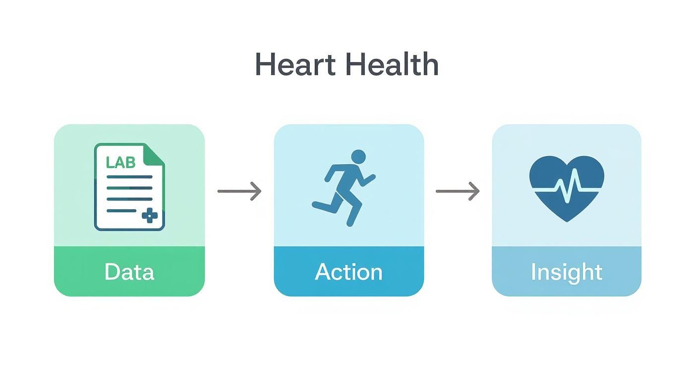 Infographic about function health vs everlywell accuracy